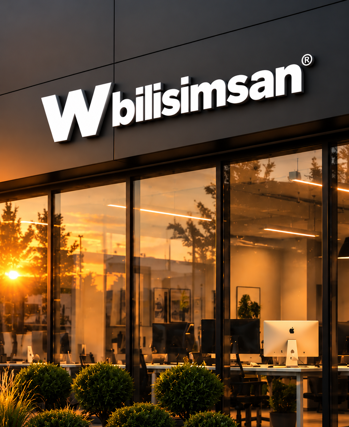 Bilişimsan